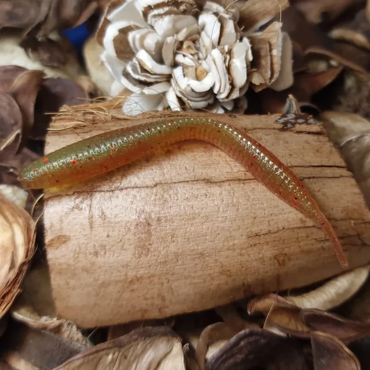 przyneta-gumowa-pijawka-collab-baits-studio-handmade.webp