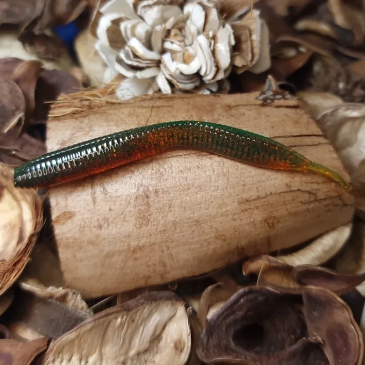 handmade-lures-collab-baits-studio-pijawka-65mm.webp