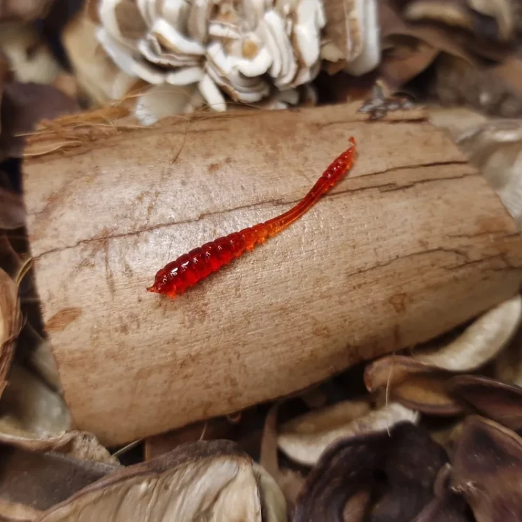 bratkobaits-handmade-lures-paleczka-30mm-red.webp