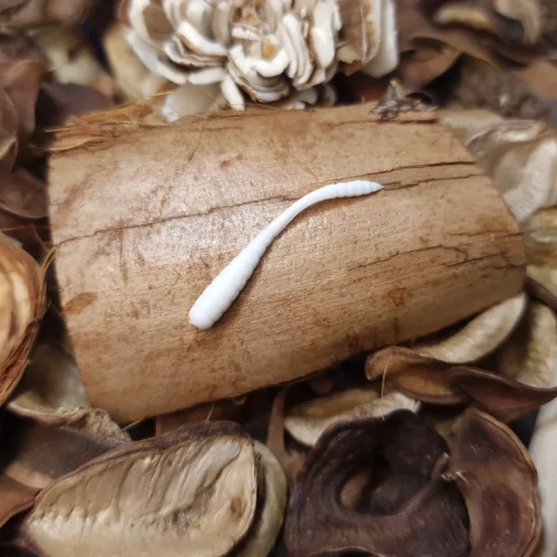 przyneta-gumowa-biala-mikro-paleczka-handmade.webp