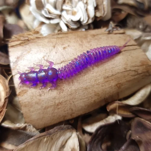 przyneta-violet-robal-bratkobaits-handmade.webp