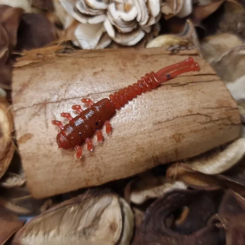 przyneta-handmade-skorpion-bratkobaits.webp