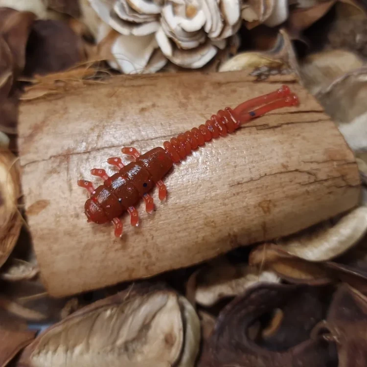 przyneta-handmade-skorpion-bratkobaits.webp