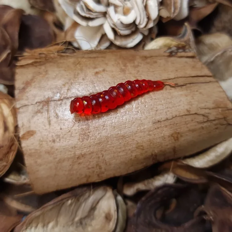 przyneta-gumowa-larwa-muchy-bratkobaits-25mm.webp
