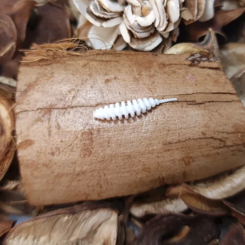 bratkobaits-tanta-biala-przyneta.webp