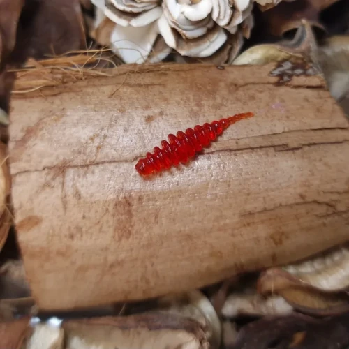 przyneta-gumowa-bratkobaits-tanta-red.webp
