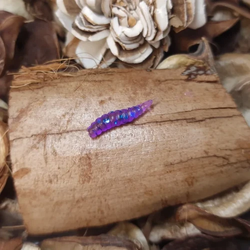 przyneta-larwa-muchy-15mm-fiolet.webp
