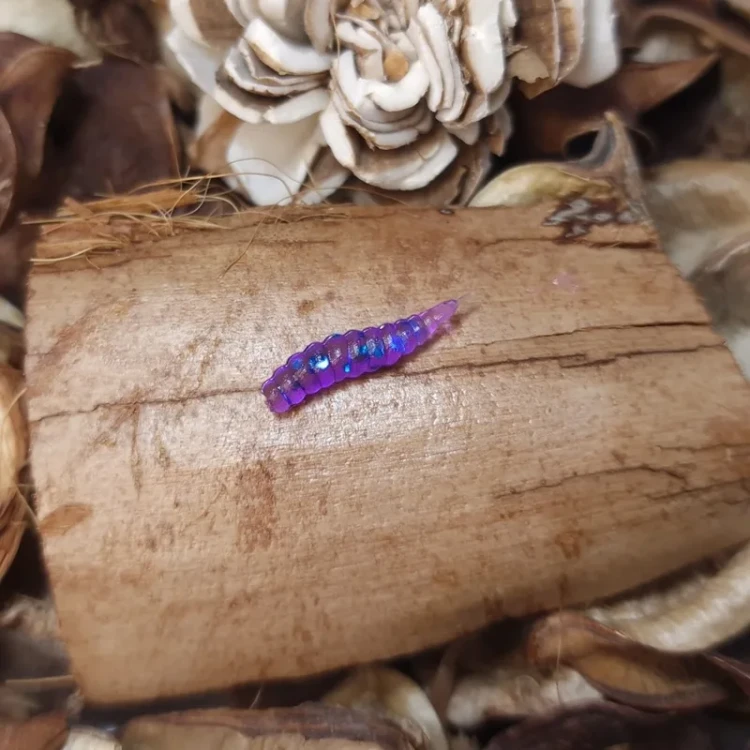 przyneta-larwa-muchy-15mm-fiolet.webp