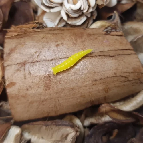 przyneta-gumowa-larwa-muchy-yellow.webp