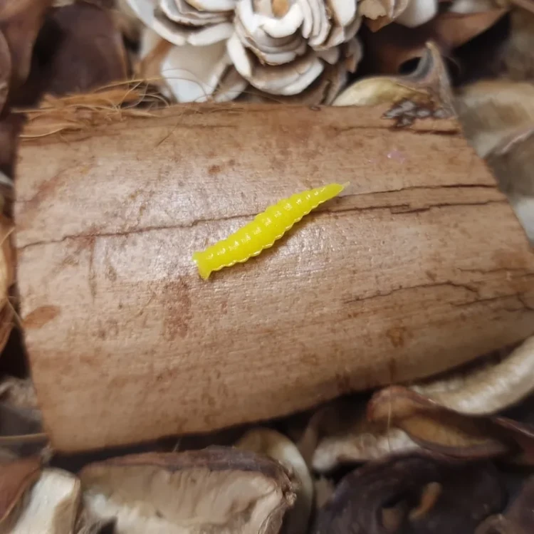 przyneta-gumowa-larwa-muchy-yellow.webp