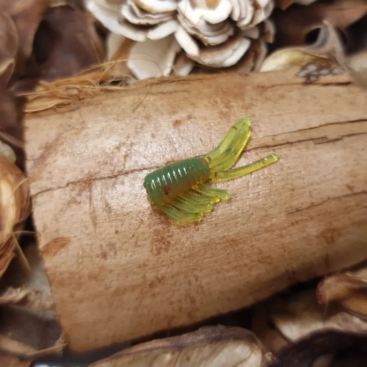 bratkobaits-kielz-przyneta.webp